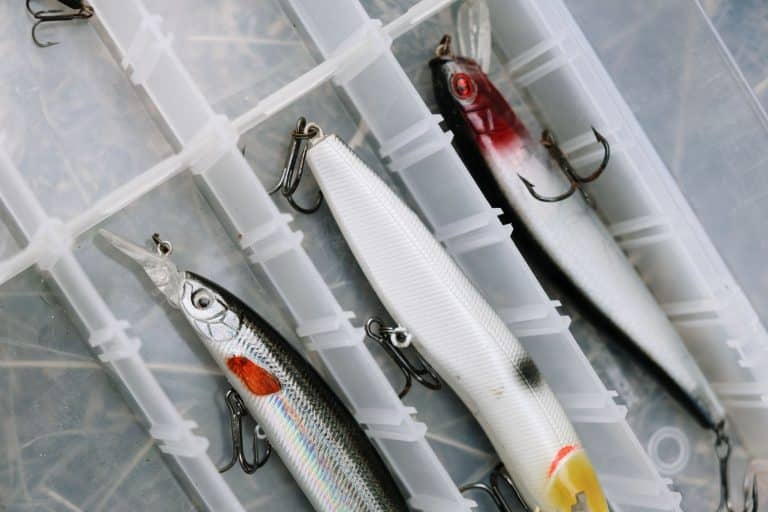 Pêcher le brochet aux leurres : la technique du lancer-ramener