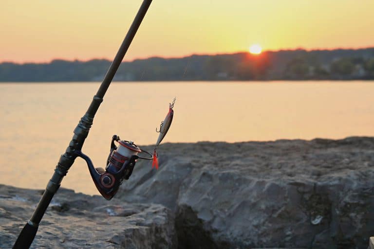 Choisir son spot de pêche en lac : profondeur, structure et saison